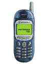 Best available price of Motorola T190 in Luxembourg