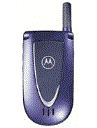 Best available price of Motorola V66i in Luxembourg